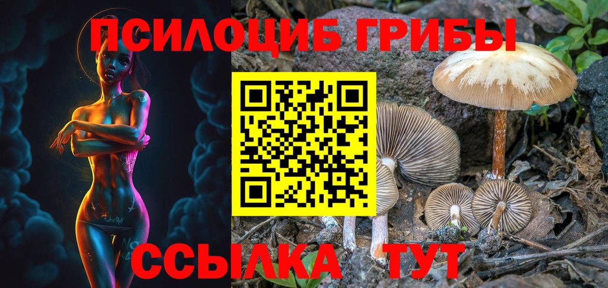 Галлюциногенные грибы Cubensis Изобильный